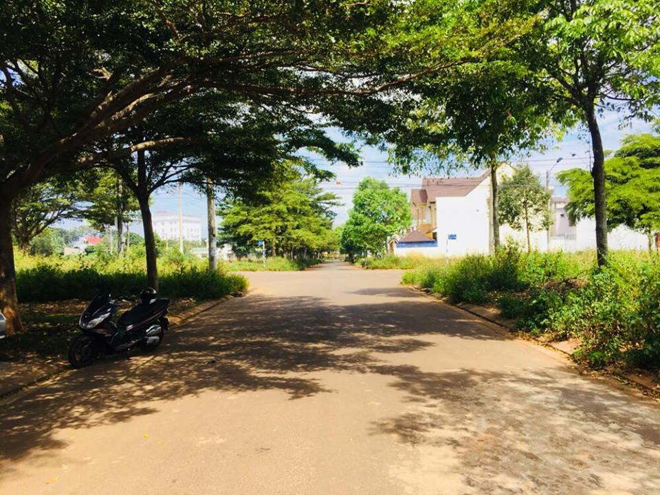 dat-ton-that-tung-buon-ma-thuot