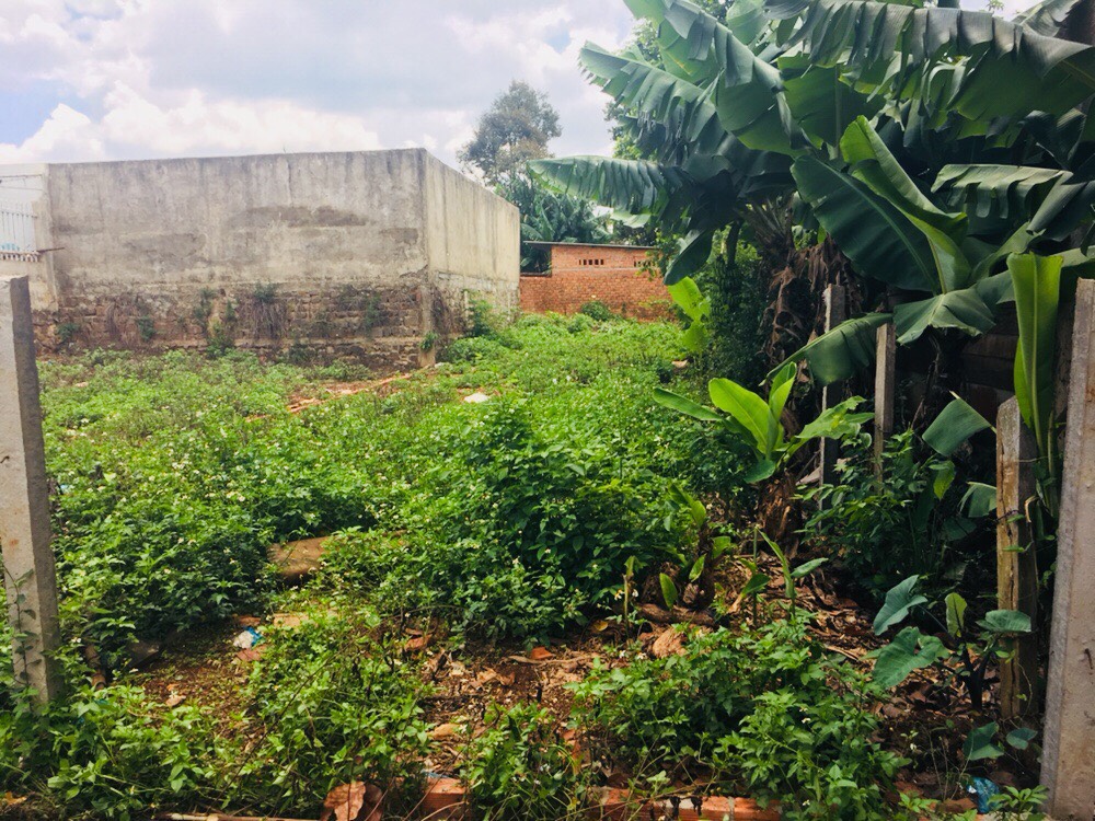 dat-sau-cho-dat-ly-eatu-buon-ma-thuot-daklak