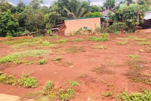 Bán đất hẻm 434 đường Y Moan – Cưe Bua – Buôn Ma Thuột – Đăk Lăk