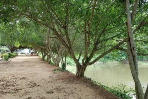 Bán 18,8 hecta thuộc xã EaNa – Krông Ana – Đăk Lăk